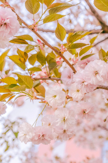 這一陣春風(fēng)，讓工職院學(xué)子為之心動