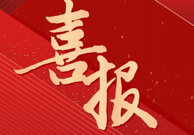 喜報(bào)！我院學(xué)子獲2024年全省學(xué)生羽毛球比賽男子單打冠軍